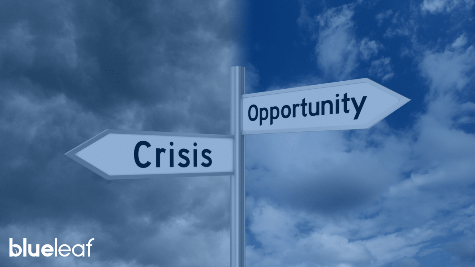 wealth-management-threats-blueleaf